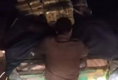Aksi Bak Bajing Loncat Kembali Terjadi di Pasar Induk Jakabaring, Sobek Terpal Mobil Angkutan Barang