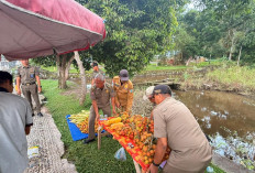 PKL di Kayuagung Ditertibkan Pol PP, Jaga Keindahan Kota