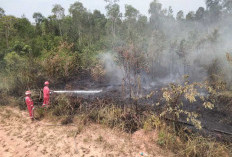 Bersama Perangi Asap, Pertamina EP Ramba Field Bantu Warga Padamkan Karhutla di Sekitar Wilayah Operasi