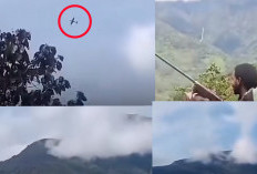Viral Video OPM Minta Tolong Dunia Internasional Saat Markasnya Dibombardir TNI 