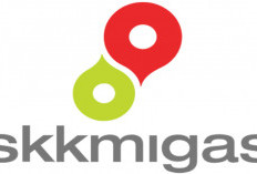 SKK Migas Buka Lowongan Kerja, Ada Penempatan di Palembang, Anda Berminat?