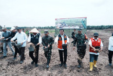 Banyuasin Perkuat Ketahanan Pangan Lewat Tanam Padi Serentak