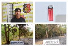 Gegara Pria Ini, Pohon Jengkol dan Karet Warga Terbakar, Berujung Ditetapkan Tersangka Karhutla oleh Polres Og