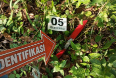 Pria Paruh Baya di Ogan Ilir Ditemukan Gantung Diri, Tinggalkan Surat Wasiat untuk Istri dan Anak