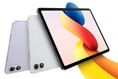 Kita Bandingkan Tablet Redmi Pad 2 atau Pad 2 Pro, Mana Yang Lebih Unggul? 