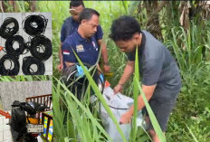 Polres OKU Selatan Bekuk Dua Pencuri Kabel Tower Telkomsel, Beraksi Saat Dini Hari