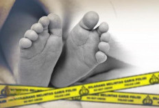 Bayi 11 Hari di Pemulutan Diduga Disayat Ibu Kandung, Satres PPA-PPO Polres Ogan Ilir Ungkap Kondisinya