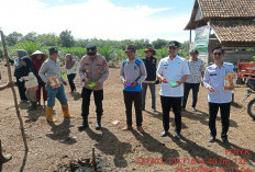 Petani Desa Sukarami Kecamatan Tanjung Lubuk OKI Tanam Jagung Pipil Sebagai Peluang Usaha