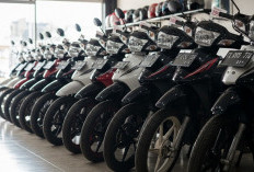Daftar Motor Bekas Tahun 2016 yang Masih Bandel, Irit BBM, dan Murah Dirawat