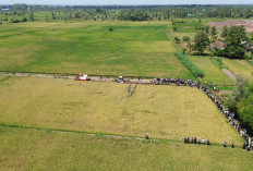 Banyuasin Digadang-gadangkan Punya SPBU Pertanian Pertama di Indonesia