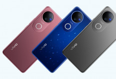Vivo V50 Gebrak Pasar Smartphone Kelas Menengah Indonesia, Usung Konsep Rounded Edge Design