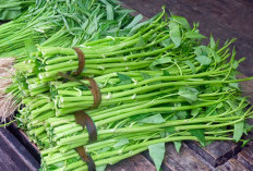 Manfaat Sayur Kangkung yang Belum Anda Ketahui, Miliki Segudang Manfaat Sehat! Ibu Hamil Wajib Tahu
