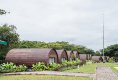 Transformasi Tanjung Enim Jadi Kota Wisata: PTBA Hadirkan Botanical Garden dan Klawas Waterpark