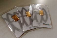 Harga Emas Antam Naik Tipis Rp 4 Ribu per Gram: Pecahan 0,5 Gram Rp 1,416 Juta, 1 Gram Rp 2,733 Juta