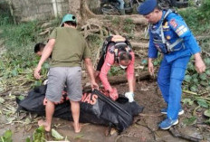 Jasad Pria Tanpa Identitas Ditemukan Tersangkut Eceng Gondok di Sungai Musi