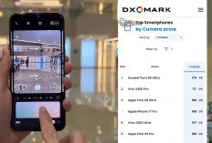 Kamera Huawei Masih Peringkat Pertama di DX Omark, Simak: Prosesing Kameranya Memang Serius & Beda