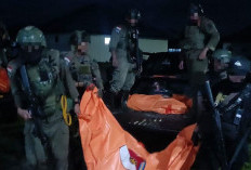 Ini Kronologi Kontak Tembak Tim Gabungan TNI-Polri dengan KKB yang Menewaskan 4 Anggota Kriminal