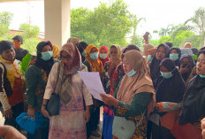 Gagal Lulus PPPK, 154 Honorer Geruduk DPRD Prabumulih Tuntut Keadilan