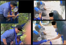 Ritual Tampar Tendang HIMPASUS Bikin Geram, Netizen: Hubungan Dengan Cinta Alam Apa?