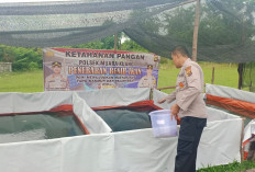 Polsek Muara Kuang Cek Perkembangan Kolam Ternak Ikan Percontohan, Program Ketahanan Pangan Nasional