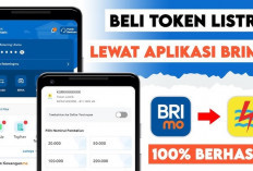  Tak Perlu Lagi ke Kota, IRT di Empat Lawang Ini Terbantu Beli Token Listrik Lewat BRImo