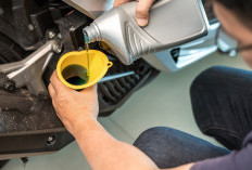 Panduan dan Cara Ganti Oli Motor Matic Sendiri Di Rumah, Hemat Biaya Kualitas Terjaga