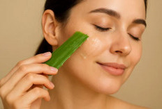 Rahasia Alami, Ini 8 Khasiat Lidah Buaya untuk Tubuh dan Kulit