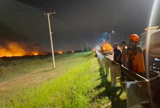 10 Hektare Lahan di Ogan Ilir Terbakar dalam Waktu Lebih Kurang 11 Jam