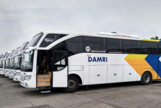 DAMRI Palembang Tawarkan Layanan Angkutan Bus Terbaik ke Pemkot, Wawako Prima Salam: Sambut Baik!