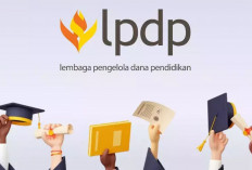 Jadwal Pembukaan Beasiswa LPDP 2026 Tahap 2: Cek Kuota untuk Jalur Penggusaha
