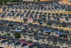 BRI Konsisten Dukung Program Perumahan Nasional, Salurkan KPR Subsidi Rp16,79 T hingga Februari 2026