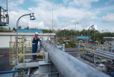 Produksi Migas Meningkat, PEP Zona 4 Jaga Kinerja Keuangan Tetap Solid