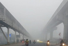 Pemkot Palembang Minta Warga dan Siswa Disiplin Pakai Masker, Ratu Dewa: Langkah Preventif
