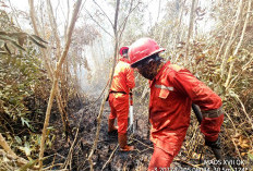 Kesigapan RPK PT Persada Sawit Mas Bantu Pemadaman Karhutla di Lahan Masyarakat di OKI