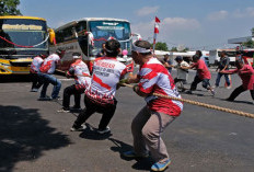 Meriahkan HUT Kemerdekaan RI ke-81, Terminal Kalideres Gelar Lomba Tarik Bus