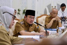 Mencuat Lagi Polemik Lahan Pulau Kemaro, Wawako Palembang Prima Salam Sampai Bilang Begini!
