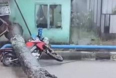 Diguyur Hujan Palembang Dikepung Banjir, Waspada Pohon Tumbang Timpa Motor 