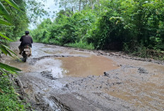 Jalan Tanjung Batu-Payaraman Ogan Ilir Kini Layaknya Kubangan, Warga Keluhkan Sering Rusak Onderdil Kendaraan