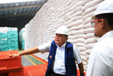 Gubernur Sumsel Minta Masyarakat Tidak Panic Buying, Pastikan Stok Beras Aman hingga 10 Bulan