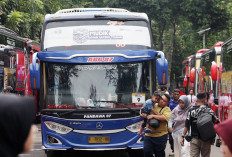 Cara Buat Akun Pendaftaran Mudik Gratis Kemenhub 2026: Slot Terbatas, Begini Buat Akunnya!