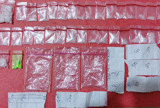 Pengedar di Desa Pedu Simpan 33 Paket Sabu Berlabel Harga, Polisi Temukan Pecahan Ekstasi ⠀