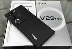 Vivo V29 Pro 5G Pilihan Ponsel Terbaru 2026 Hadirkan Kamera Canggih dengan Fitur Aura Light Portrait