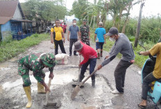 Warga dan Perangkat Desa Pedamaran OKI Gotong Royong Perbaiki Jalan Akses yang Rusak 