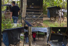 Penampakan Kantor Tipsani Berupa Pondok Lesehan di Tengah Hutan