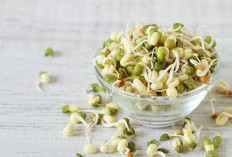 Cara Menanam Tauge dari Kacang Hijau, Bisa Hemat Uang Belanja