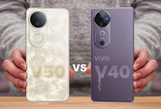  Review vivo V50 dan Peningkatan dari vivo V40: Spesifikasi dan Harga 