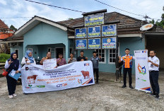 Sambut Hari Raya Idul Adha 1447 H, KAI Divre III Palembang Salurkan 30 Ekor Sapi Kurban 
