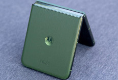 Motorola Razr 60 Bisa Akses Langsung Gemini dan Gemini Live Plus Dibekali Moto AI 