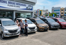 5 Mobil Bekas Favorit Keluarga Sumsel, Perawatan Murah dan Harga Jual Kembali Tetap Tinggi