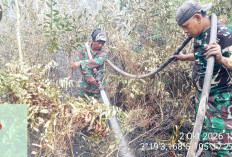 Lahan di Desa Pulau Beruang OKI Kembali Terbakar, Babinsa dan Tim Gabungan Bergerak Cepat Padamkan